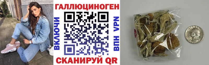 Псилоцибиновые грибы Magic Shrooms  Гай 