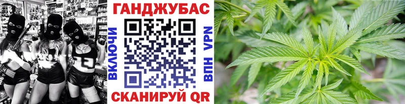 купить   Гай  Конопля Ganja 